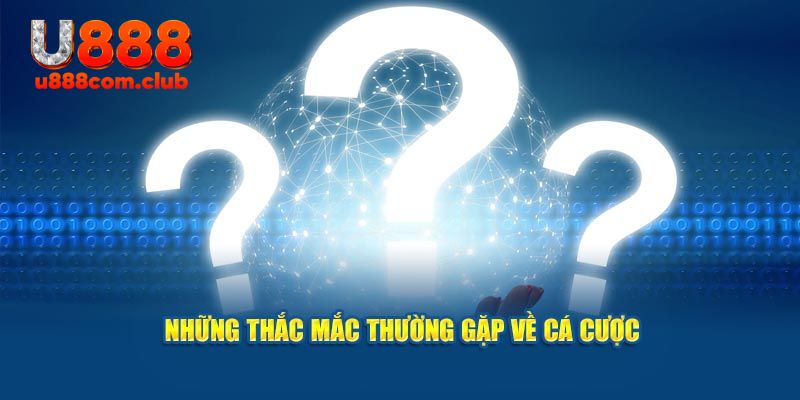 Nếu có gặp khó khăn, hãy liên hệ ngay đội ngũ CSKH để được hỗ trợ