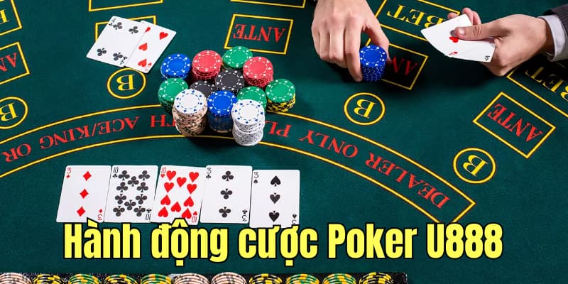 Các hành động cược trong game Poker trực tuyến