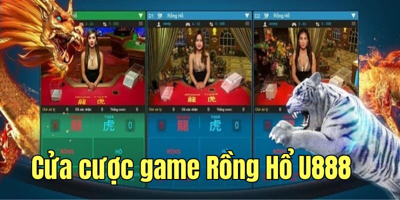 Một số cửa cược game Rồng Hổ phổ biến