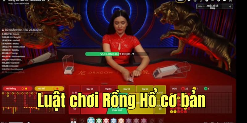 Luật chơi Rồng Hổ cơ bản phải ghi nhớ kỹ